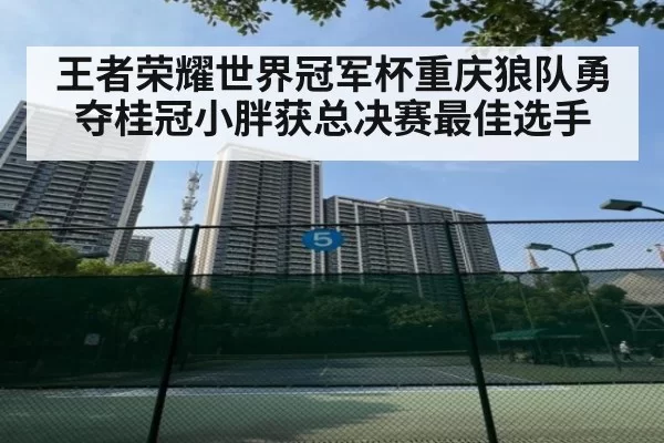王者荣耀世界冠军杯重庆狼队勇夺桂冠小胖获总决赛最佳选手