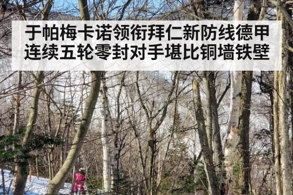 于帕梅卡诺领衔拜仁新防线德甲连续五轮零封对手堪比铜墙铁壁